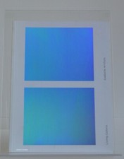 Living Colors, Isabelle Arthuis,  Édition de La lettre volée, 2011