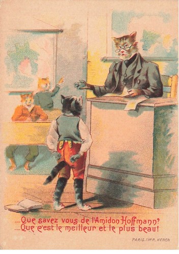 Mikii 357 chromo chats - chromo,