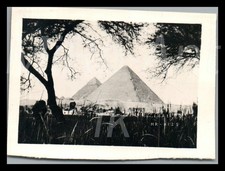 Photo, WW2, DAK, Afrique, vue