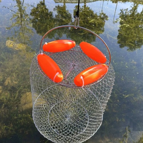 Nasse poissons fil - nasse,