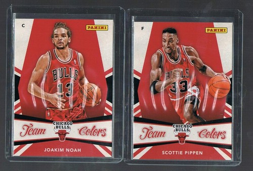 2013 panini national team - 2013,