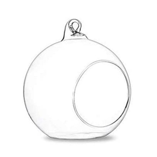 Verre suspendu terrarium - verre,