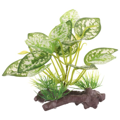 Décoration terrarium fausses - terrarium,