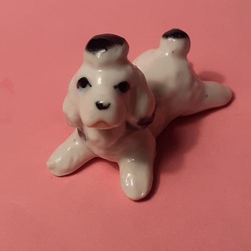 Feve ancienne chien caniche - feve,