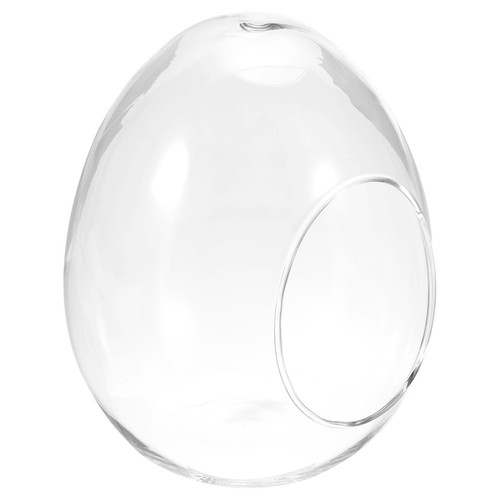 Globe terrarium air - air, plante