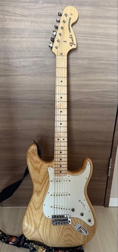 Fender stratocaster ash body - stratocaster,