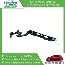 🏆 COMPAS GAUCHE CAPOT