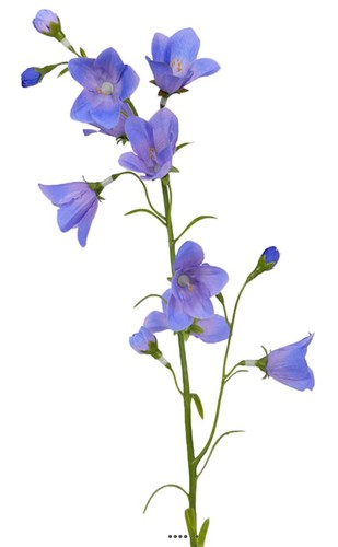 Campanule faux tige fleur - faux,