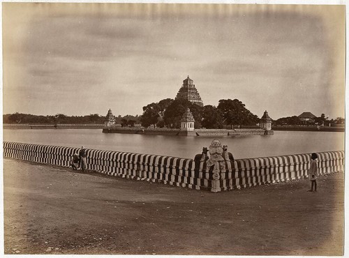 Photo albuminé inde madura - photo,