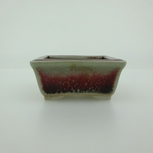 Pot bonsaï japonais - japonais, seika