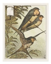 Affiche vintage hirondelle