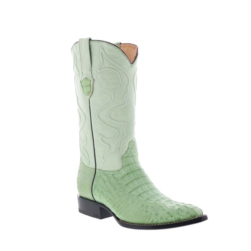 Wild west caiman hornback - west,