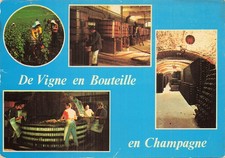 51 REIMS VENDANGES LE PRESSOIR