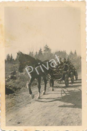 Photo soldats wehrmacht - photo,