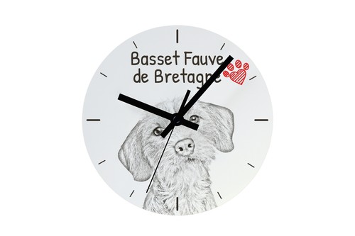 Basset fauve bretagne - basset,