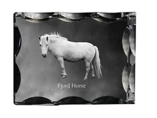 Cheval Fjord - Crystal Avec A Photo Of A Horse, Verre Statuette