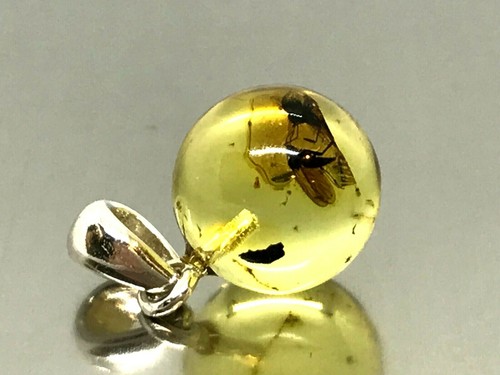 Pendentif ambre insecte cadeau - ambre,