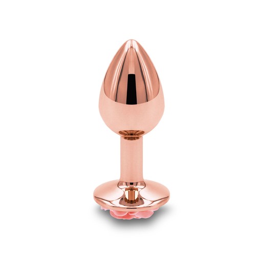 Sextoys pour tous - sextoys, anal