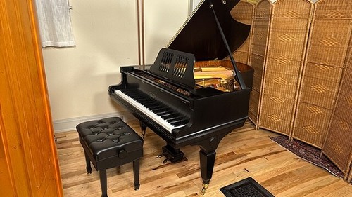 Ibach german grand - grand, piano
