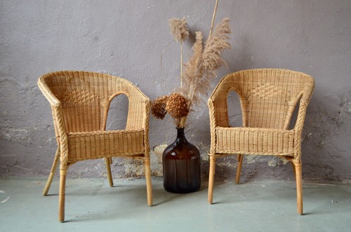 Paire charmants fauteuils - paire,