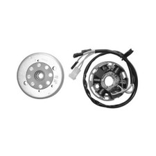 Volano Complet Derbi Senda Sm Drd E1R (Sdr1Hb) Ducati 50 03>03 16.8513