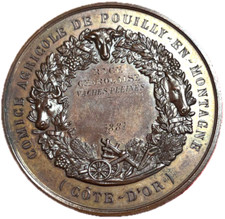 #15131 - Médaille Comité