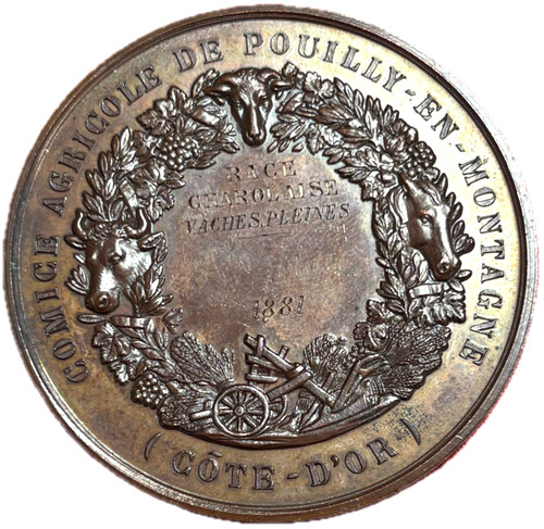 15131 médaille comité - #15131,