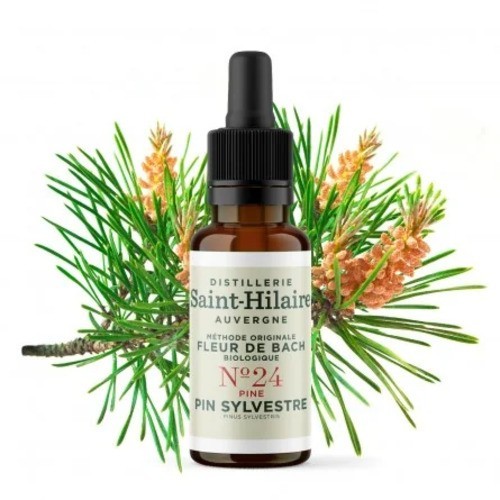 Fleur bach bio - bach, pin