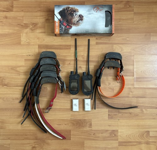 Collier gps tek sportdog - collier,