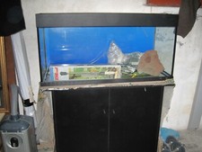 aquarium Juwel, Noir, Taille 100 x 0.30 x 0.40 En très bon état 