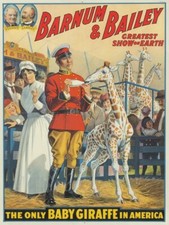 CIRQUE BARNUM BAILEY R257 -