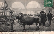 CPA 75 Concours Agricole - PARIS - Race Jersiaise
