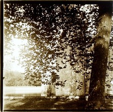 Scène Artistique Château et Arbre, Photo Stereo Vintage Plaque de Verre VR3L7n10