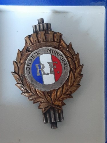 Insigne fonction conseil - insigne,