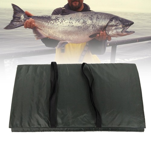 Rembourré carpe pêche - rembourré,