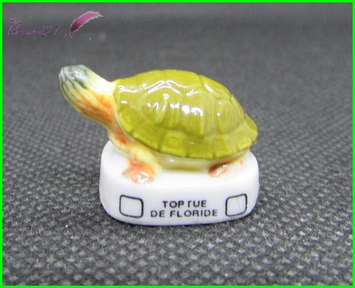 Feve les tortues - tortues, turtle