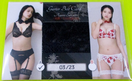 Carte ceinture