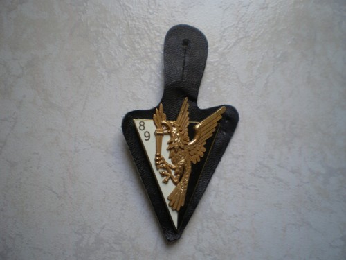 Insigne cuir bs - , 89°