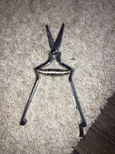 Ancien masticateur pince - ancien,