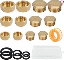 TREABEAR 12 Pièces Bouchon Radiateur, Bouchon Laiton Male+Bouchon Laiton 