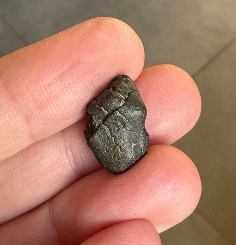 Meteorite chondrite ung nwa - meteorite,