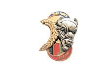 Rare ancien pins infanterie - rare,