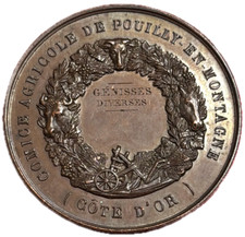 #15124 - Médaille Comité