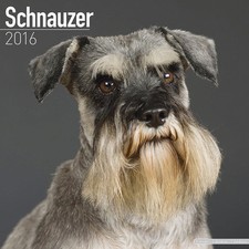 Calendrier 2016 - SCHNAUZER