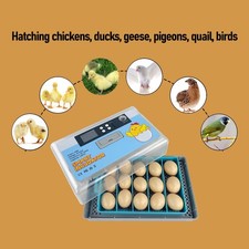 Egg Incubator Digital Display Automatic Temperature Control Egg Hatching