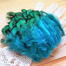 Plumes de faisan 3 à 5 cm par