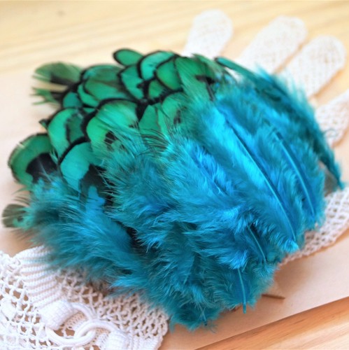 Plumes faisan 5 cm par - plumes,