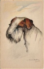 CPA AK Airedale Terrier DOGS (728350)