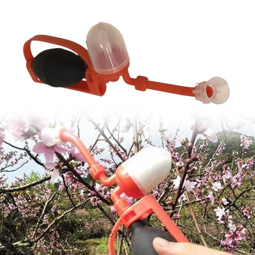 Fruit tree pollinator garden - fruit,