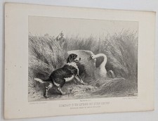 Gravure chasse : COMBAT D'UN
